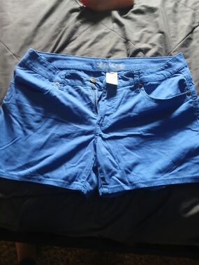 Women’s Blue Stretch Casual Shorts